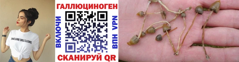 Галлюциногенные грибы мухоморы Белоозёрский
